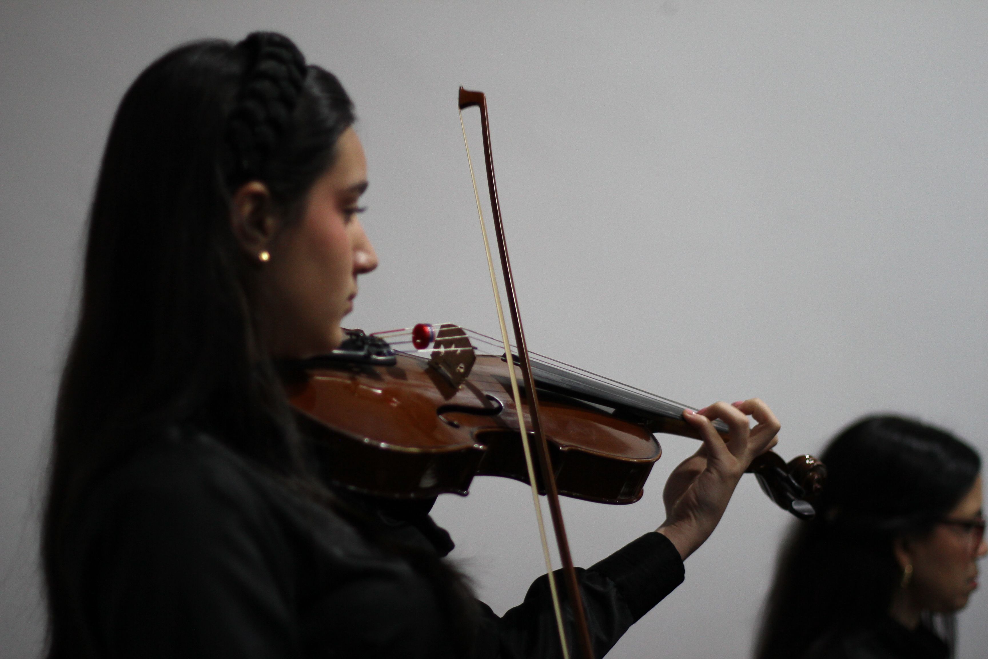 Galería 31